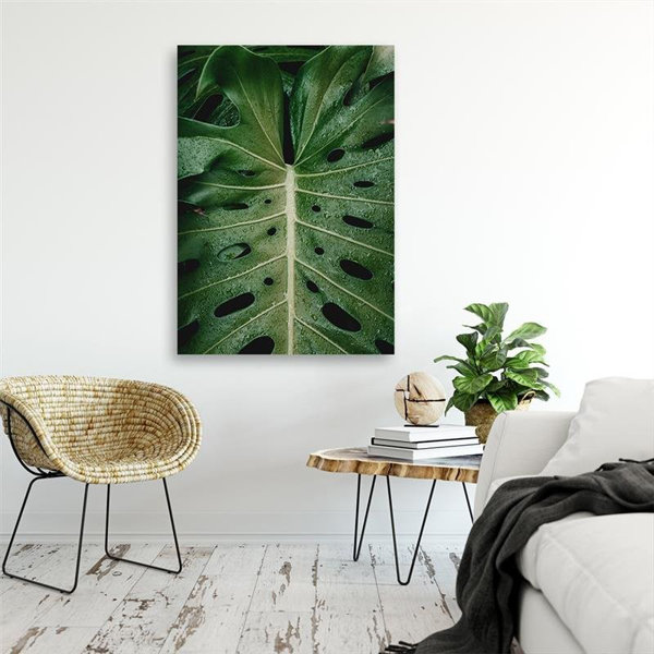 Sansibar Home Leinwandbild Monstera Verl Sst Tropen Wayfair De